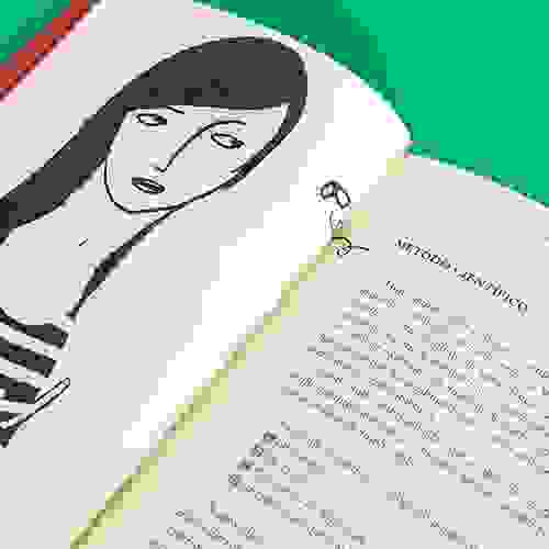 Miolo O caderno vermelho da menina karateca