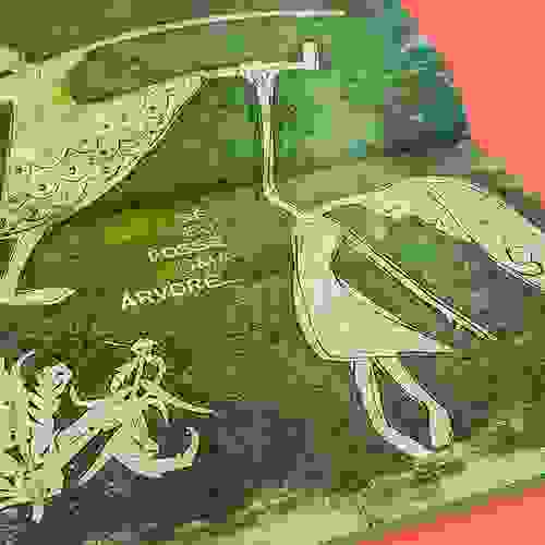 Miolo Se eu fosse uma árvore