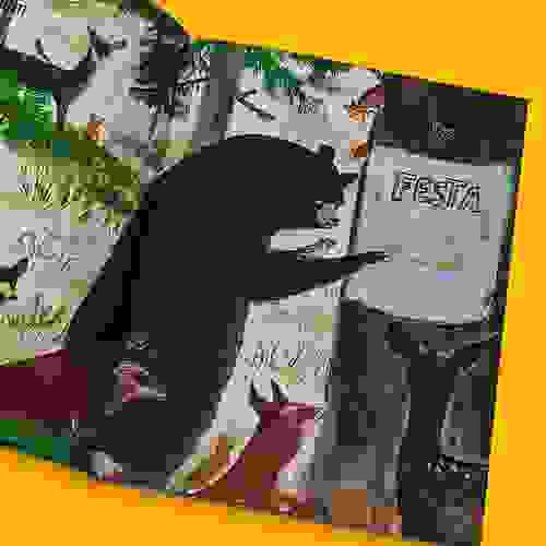 Miolo 1 - Estranhas criaturas