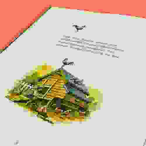 Miolo Meu filhote dragão
