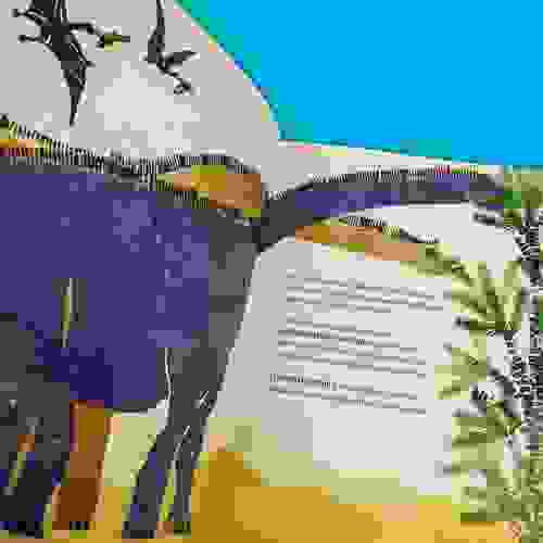 Dinossauro Roxo