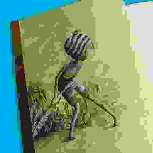 Foto 1