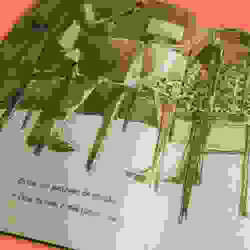 Foto mesa