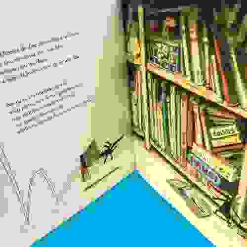O lobo que caiu do livro