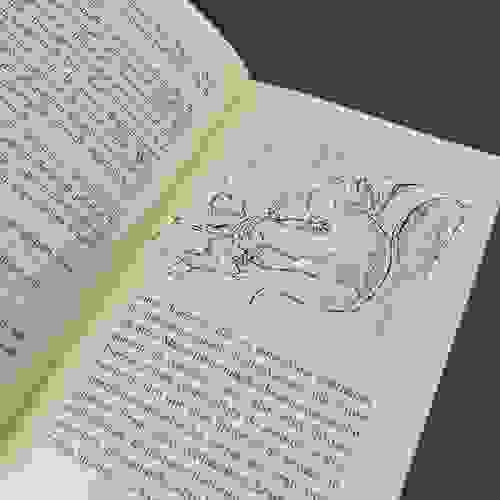 As burxas vovó contando história