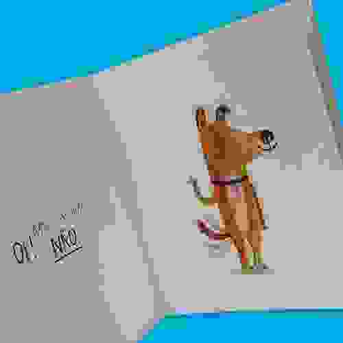 Não - miolo