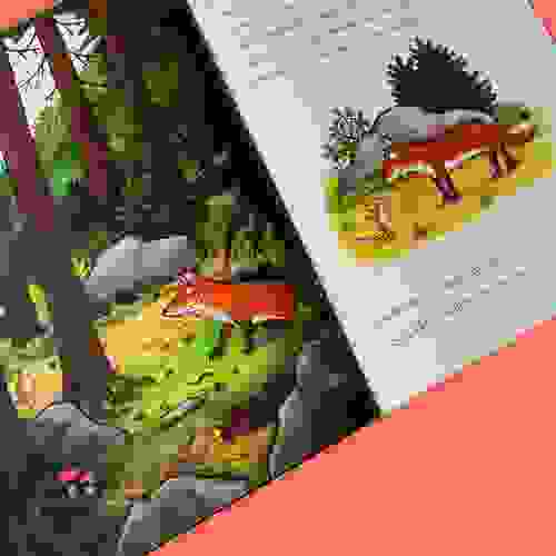 Miolo O grúfalo