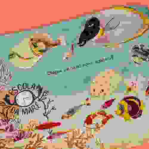 Tímidos - miolo