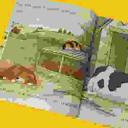 Página do livro Dorminhoco