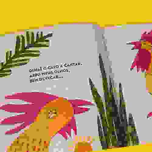 Miolo Olha Olha 1