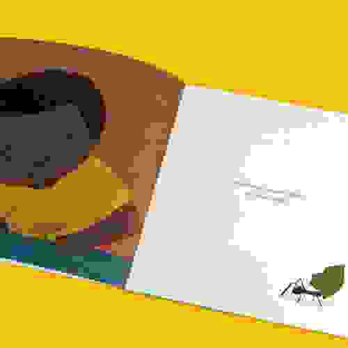AquieAqui-Foto1