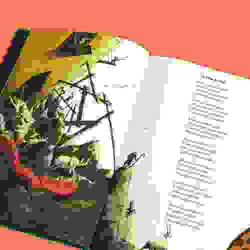 ArcaDeNoei-Foto1