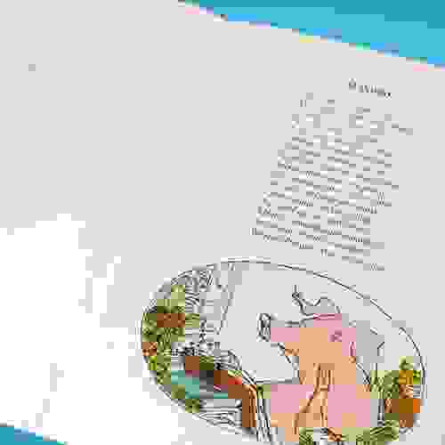 BichosMalvados-Foto1