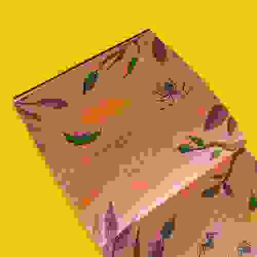 Absurdos_Foto1