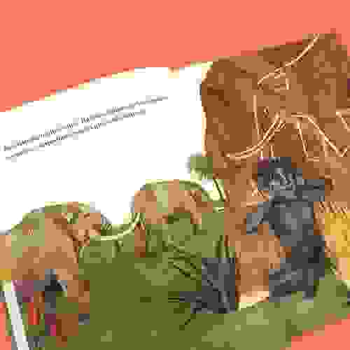 OQueNosFazHumanos_Foto1