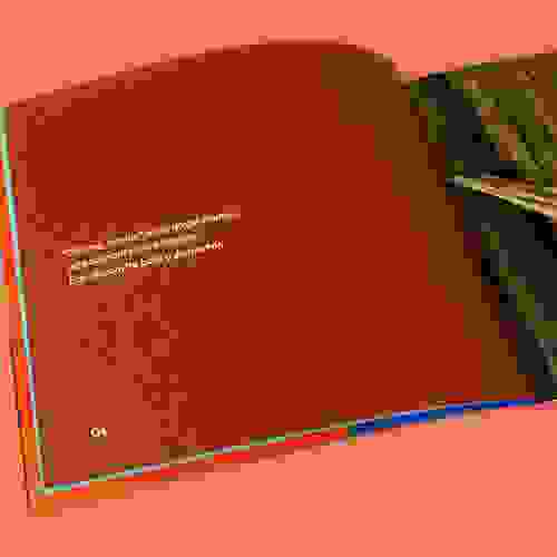 Chupim_Foto1