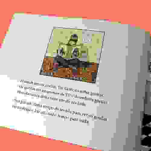 Gorila_Foto1