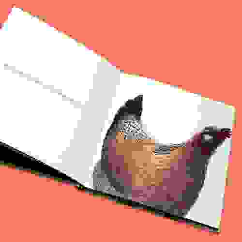 Formigavel_Foto1