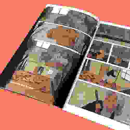 Brotos_Foto1