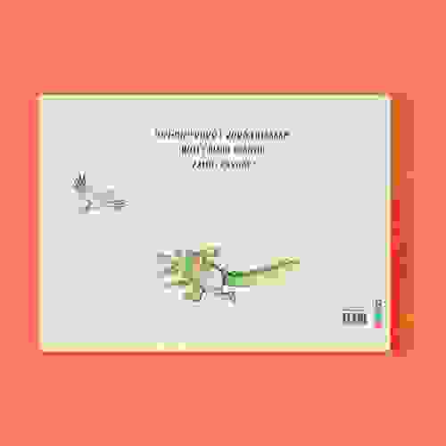 O que o crocodilo diz no parque Capa Verso