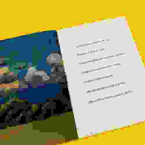 HojeEuViUmPicaPau_Foto1