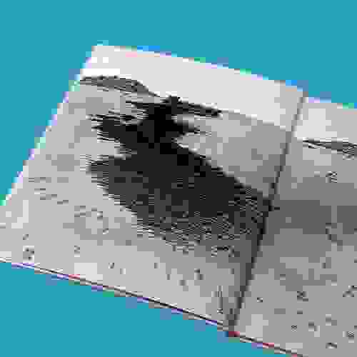 Submersos_Foto1