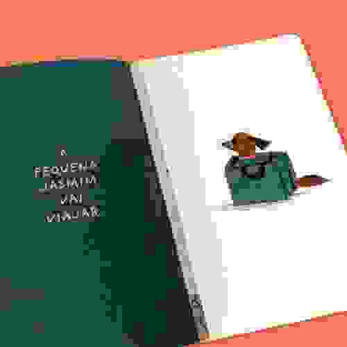 Ai tá chegando Foto1