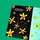 Imagem 3 do livro Estrela com os pés no chão Ampliar imagem 3 da capa do livro Estrela com os pés no chão