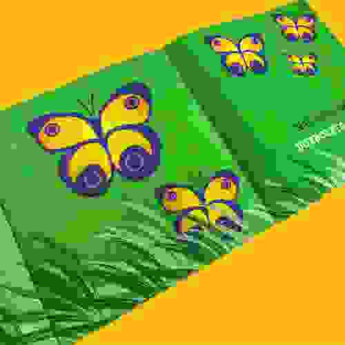 Miolo Eu vi