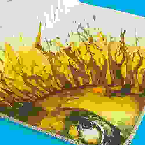 Miolo A vida é um trem
