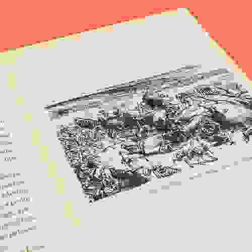 Miolo Viagens de Gulliver