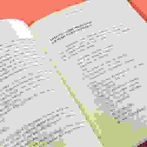 Miolo O caderno vermelho da menina karateca