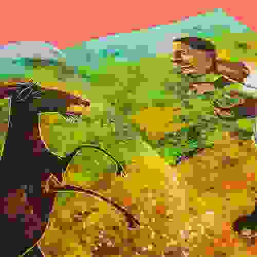 Miolo De medos e assombrações