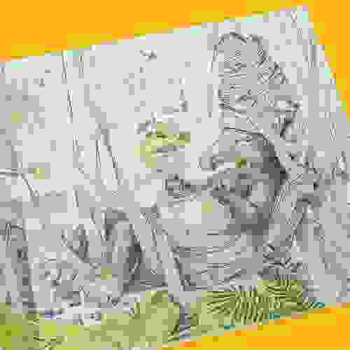 Miolo Gordon e Tapir