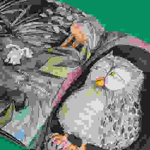 Miolo 2 - Feio Eu