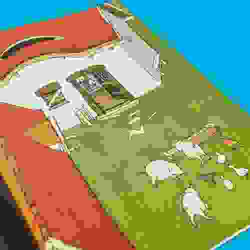 Foto 2 - Zoom