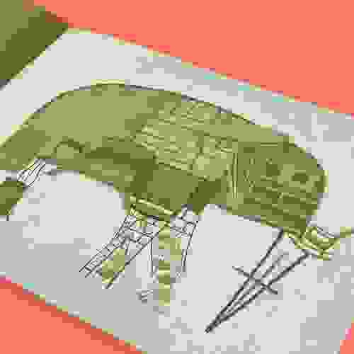 Miolo O elefante