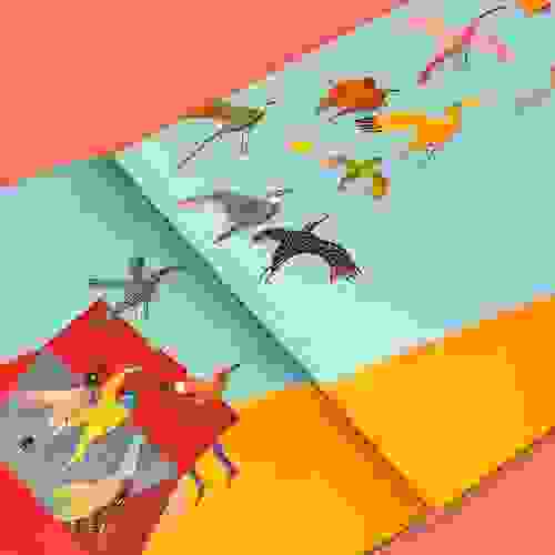 Miolo Os pássaros