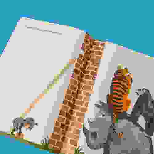 Miolo Muro Meio do Livro