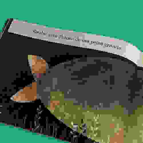 Este Chapeu Nao E Meu 2