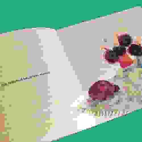 Minuscula Foto 2