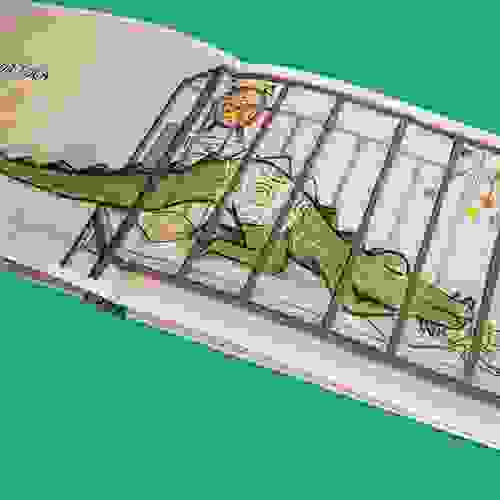 CrocodiloDiz_Foto2