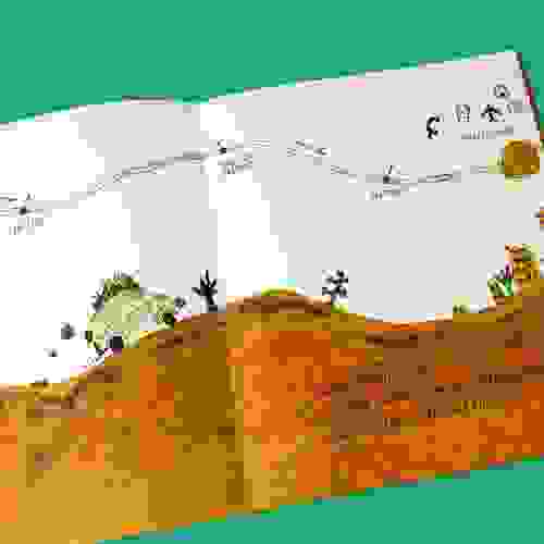 PigaFrango_Foto2