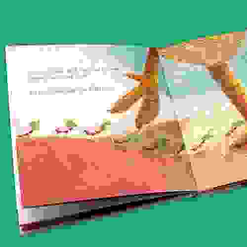 Formigavel_Foto2