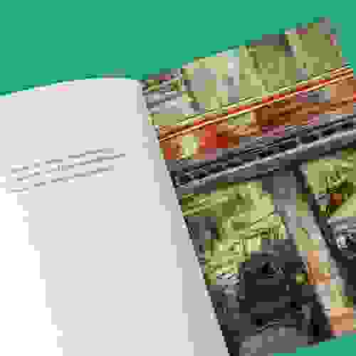 oTremDosSonhos_Foto2