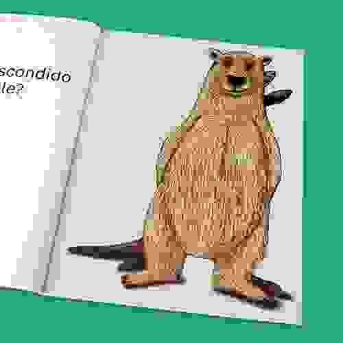 O que está escondido Foto2