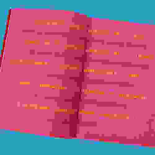 EnigmaCamaleao_Foto2