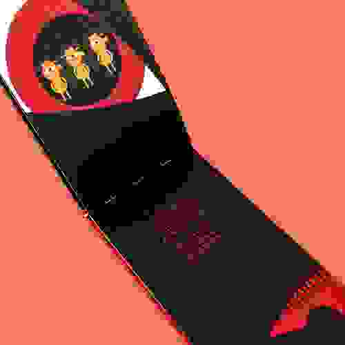 LoboMauComDorDeDente_Foto2