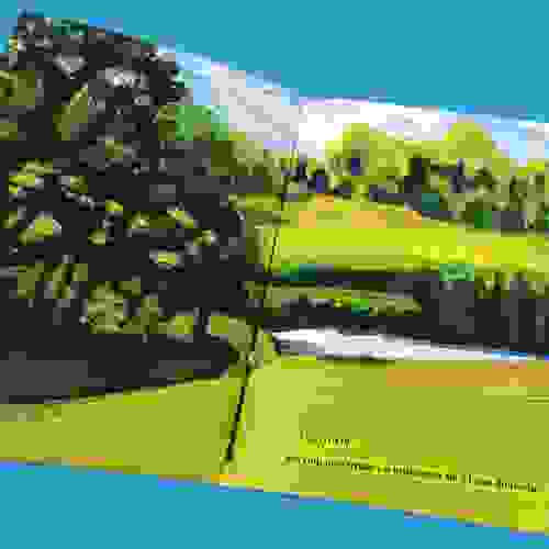HojeEuViUmPicaPau_Foto2