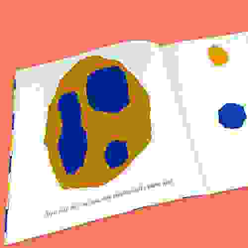 PequenoAzulAmarelo_Foto2